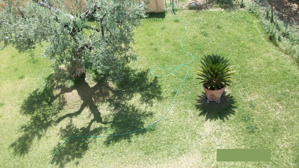 칸네토 Il Giardino Degli Ulivi B&B 외부 사진